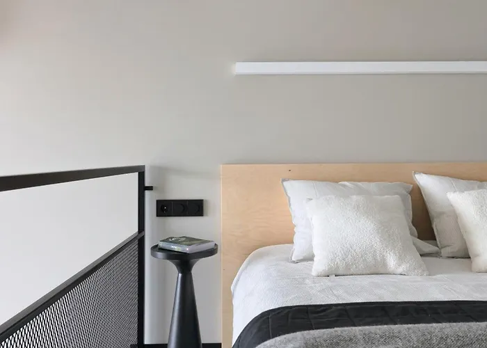 Stylish Designer Loft In Trendiest District Butas